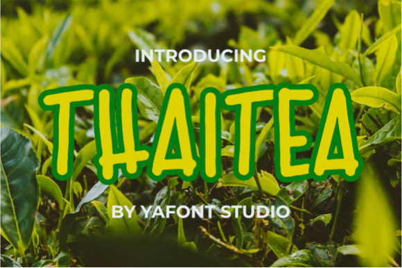Transform Your Brand with Thaitea: A Stylish Display Font